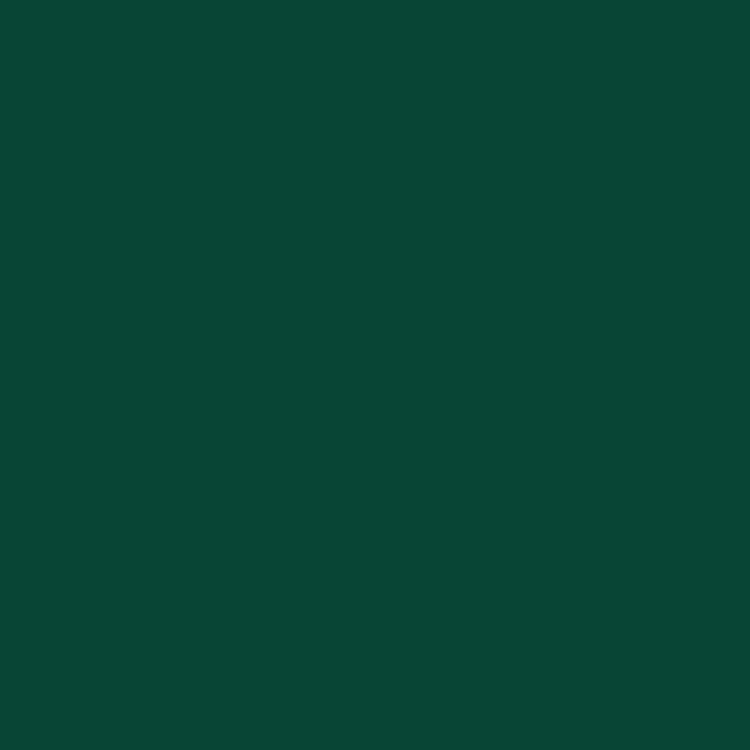 Verde muschio - RAL 6005