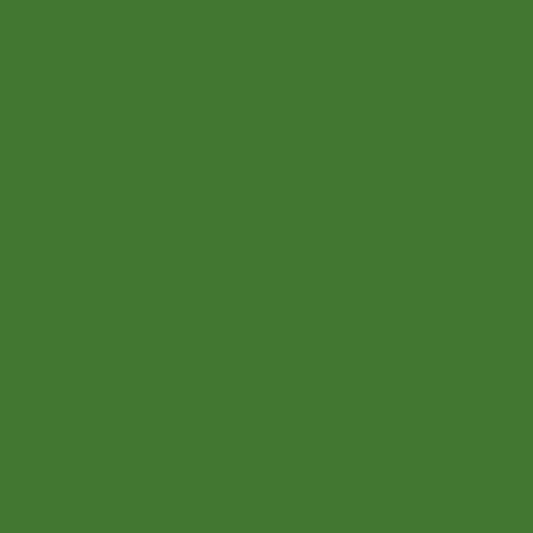 Verde maggio - RAL 6017