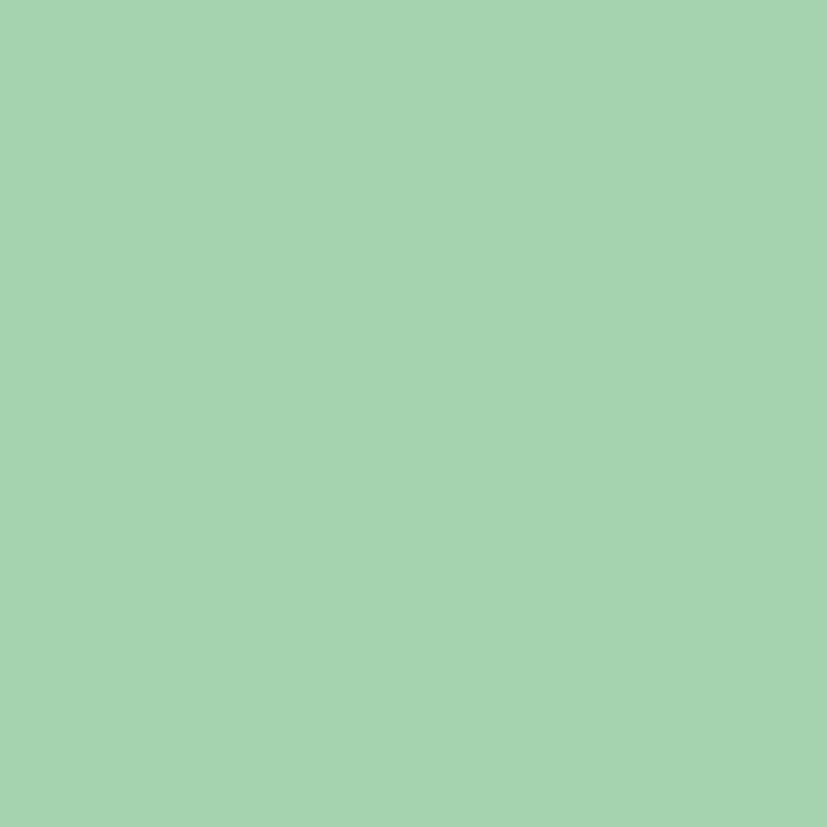 Verde biancastro - RAL 6019