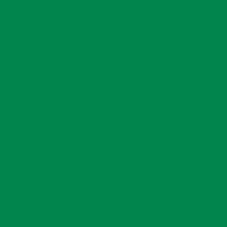 Verde traffico - RAL 6024