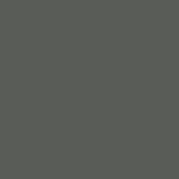 Grigio topo - RAL 7005