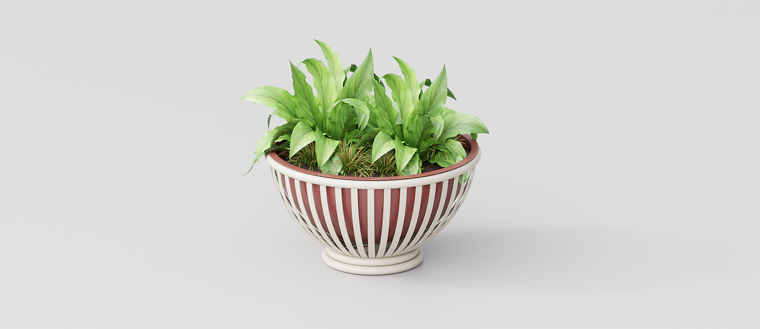 Tulipano flower box vista 3