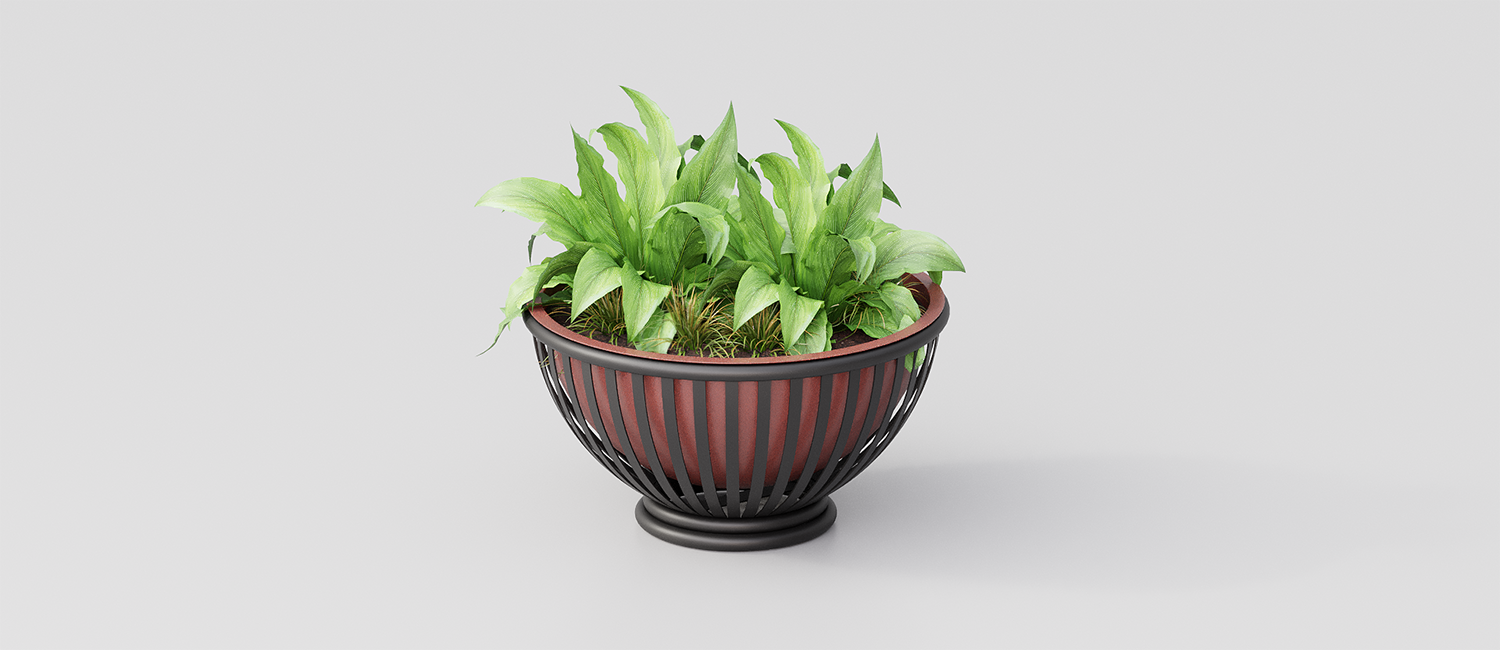 Tulipano flower box vista 4