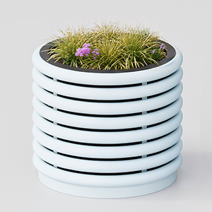 Flower Box Azalea