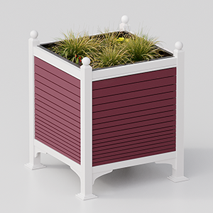 Flower Box Camelia