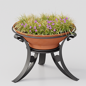 Flower Box Dalia