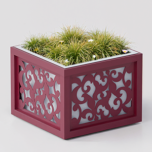 Giglio flower box