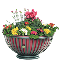 Flower Box Tulipano, code 974
