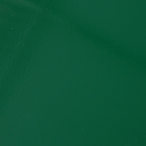 Verde muschio RAL 6005